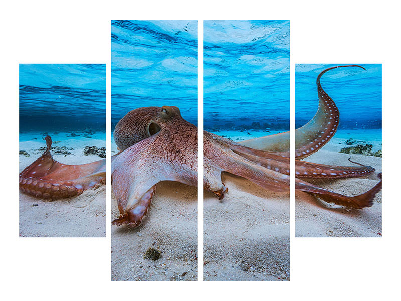 4-piece-canvas-print-octopus