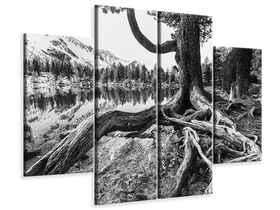 4-piece-canvas-print-old-tree