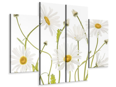 4-piece-canvas-print-ox-eye-daisies
