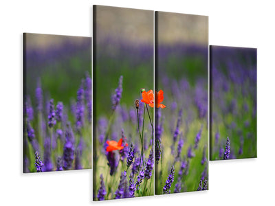 4-piece-canvas-print-poppy-in-the-lavender