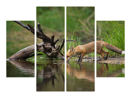 4-piece-canvas-print-red-fox-ii