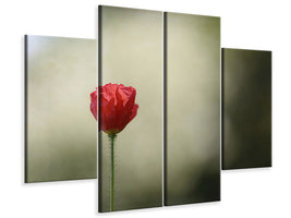 4-piece-canvas-print-red-poppy