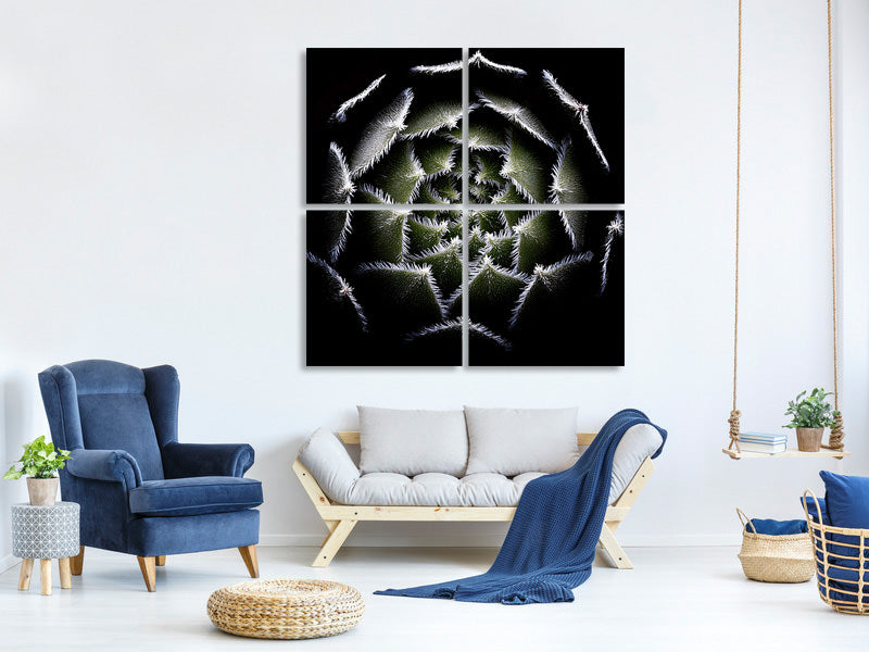 4-piece-canvas-print-sempervivum-rosette