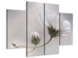 4-piece-canvas-print-simply-cosmos