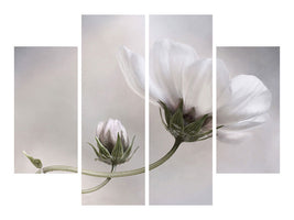 4-piece-canvas-print-simply-cosmos