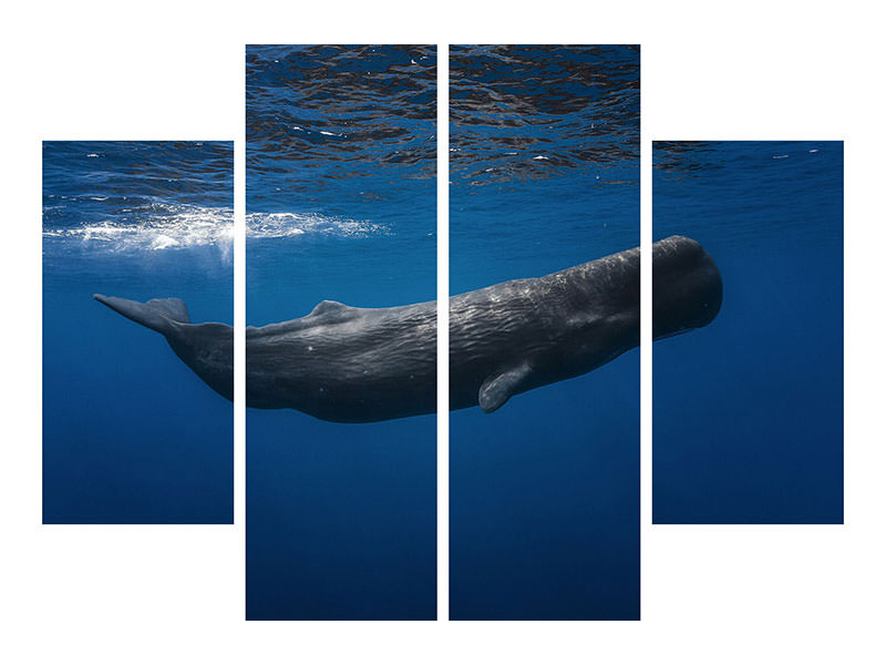 4-piece-canvas-print-sperm-whale