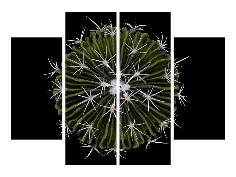 4-piece-canvas-print-stenocactus