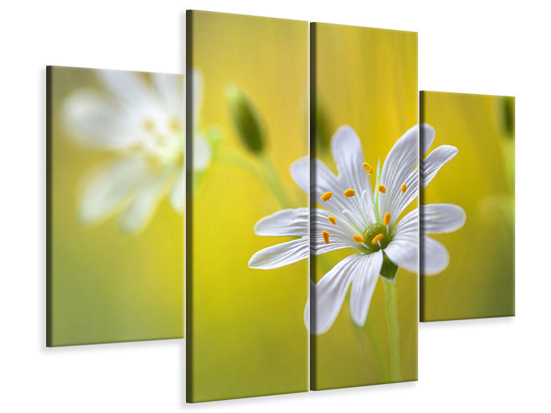 4-piece-canvas-print-stitchwort-ii