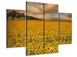 4-piece-canvas-print-sunflowers
