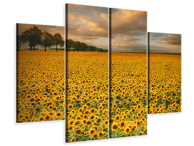 4-piece-canvas-print-sunflowers