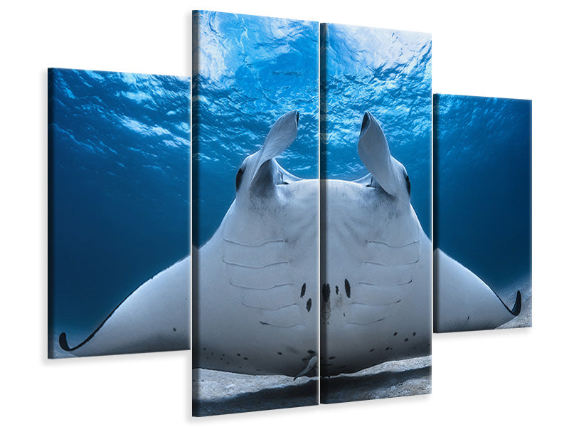 4-piece-canvas-print-take-off-manta-airline