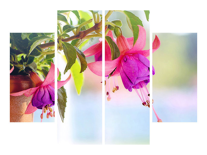 4-piece-canvas-print-the-fuchsias