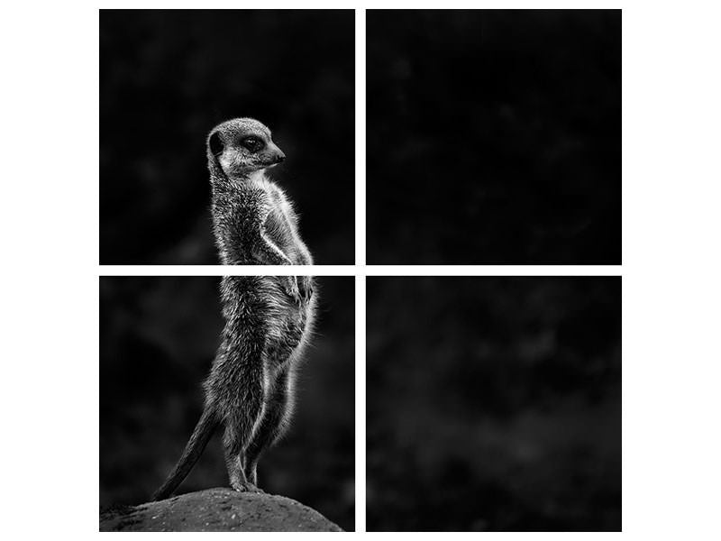 4-piece-canvas-print-the-meerkat