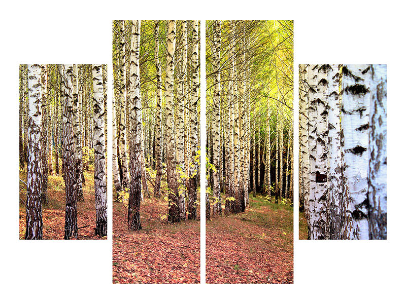 4-piece-canvas-print-the-path-between-birches