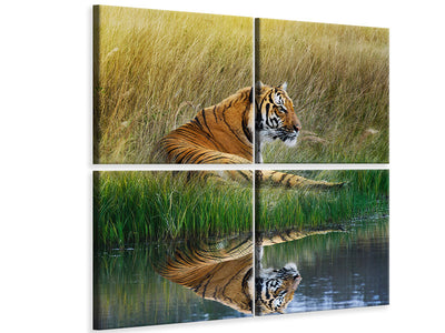 4-piece-canvas-print-the-tiger
