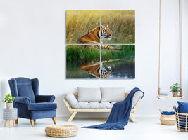 4-piece-canvas-print-the-tiger