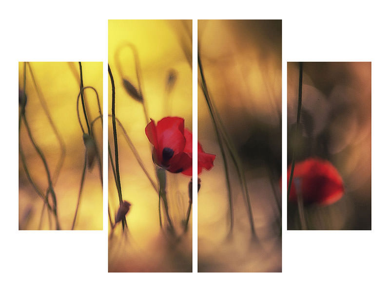 4-piece-canvas-print-untitled-xvi-p