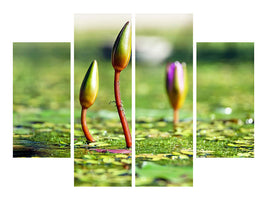 4-piece-canvas-print-water-lilies-in-xl