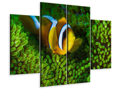 4-piece-canvas-print-yellow-clownfish-on-green-anemon