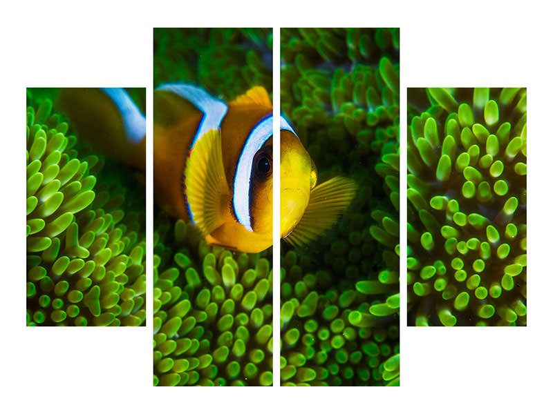 4-piece-canvas-print-yellow-clownfish-on-green-anemon