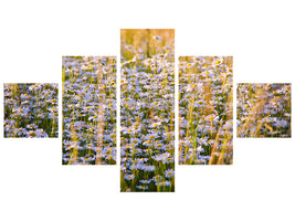 5-piece-canvas-print-a-field-full-of-camomile