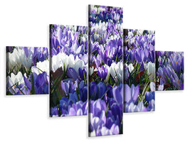 5-piece-canvas-print-a-field-full-of-crocuses