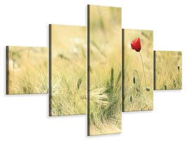 5-piece-canvas-print-a-poppy