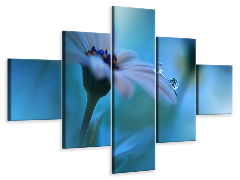 5-piece-canvas-print-beyond-the-visible