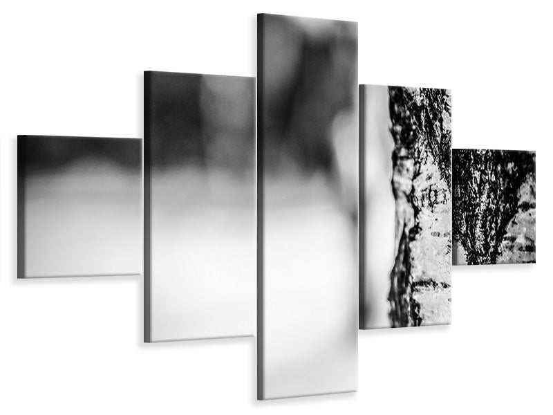5-piece-canvas-print-birch-trunk