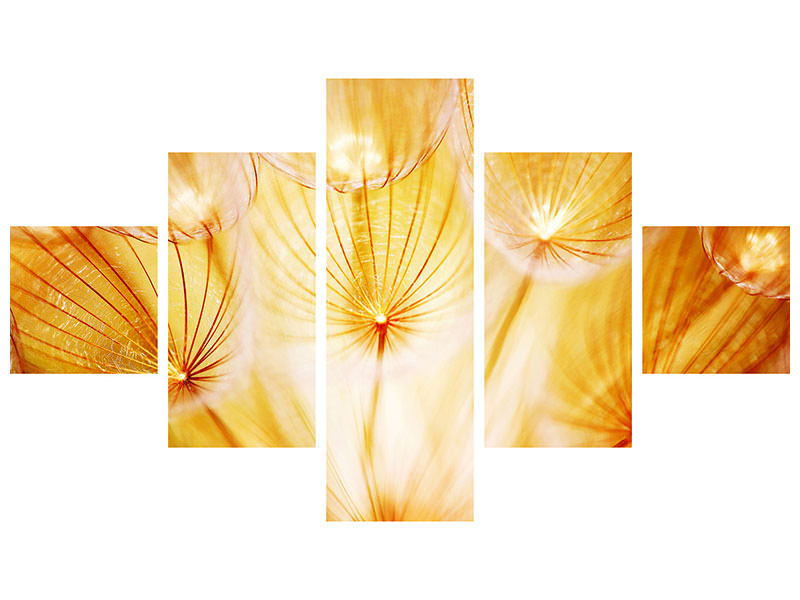 5-piece-canvas-print-close-up-dandelion-in-light