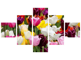 5-piece-canvas-print-colorful-tulip-field