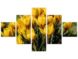 5-piece-canvas-print-crocuses-in-spring