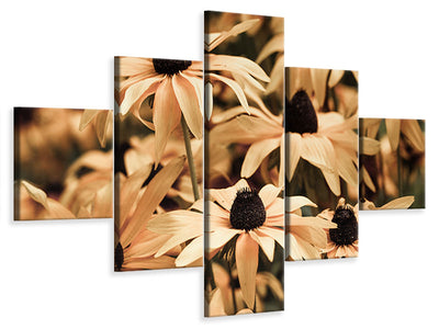 5-piece-canvas-print-daisies-in-sepia
