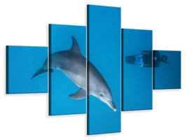 5-piece-canvas-print-dolphin-and-freediver