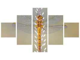 5-piece-canvas-print-dragonfly