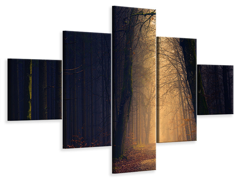 5-piece-canvas-print-evening-mood-in-the-forest