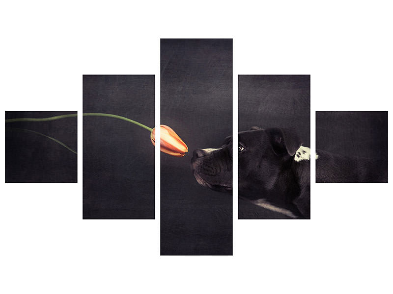 5-piece-canvas-print-first-approach-hildegard-and-the-tulip