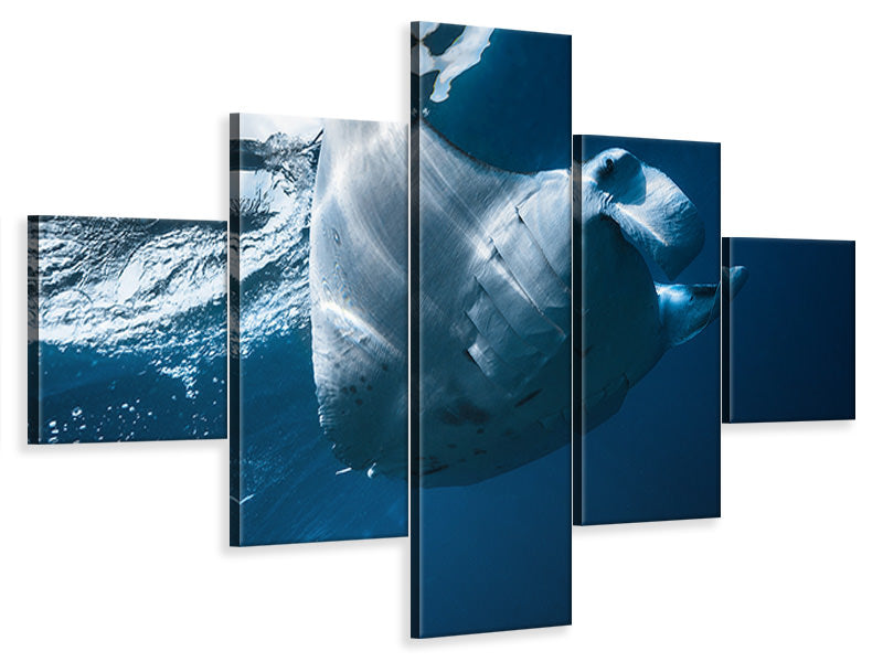 5-piece-canvas-print-flying-manta-ray