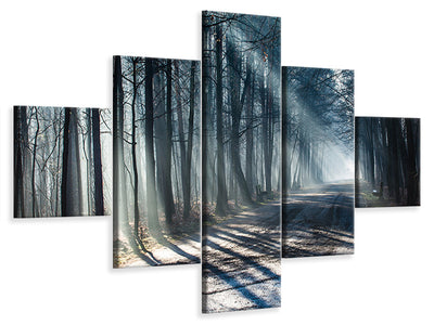 5-piece-canvas-print-forest-in-the-light-beam