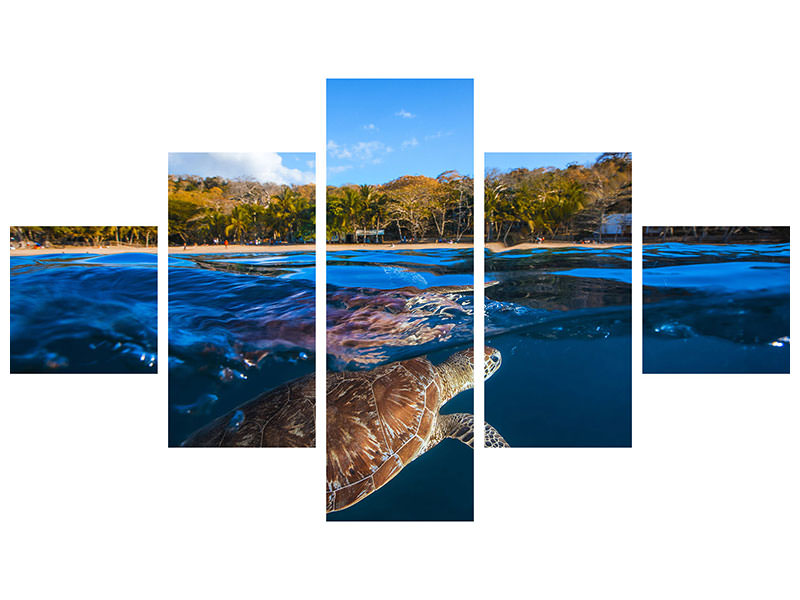 5-piece-canvas-print-green-turtle-sea-turtle