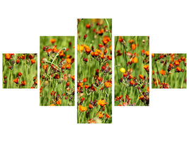 5-piece-canvas-print-hawkweeds