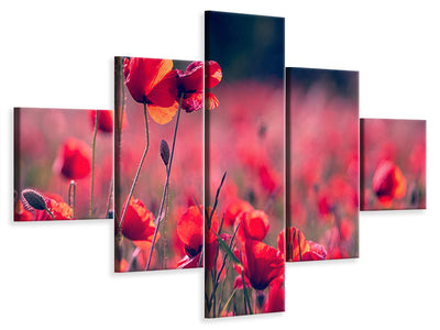 5-piece-canvas-print-in-the-poppy-field