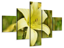 5-piece-canvas-print-lilies-blossom-in-yellow