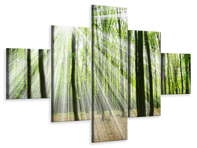 5-piece-canvas-print-magic-light-in-the-trees