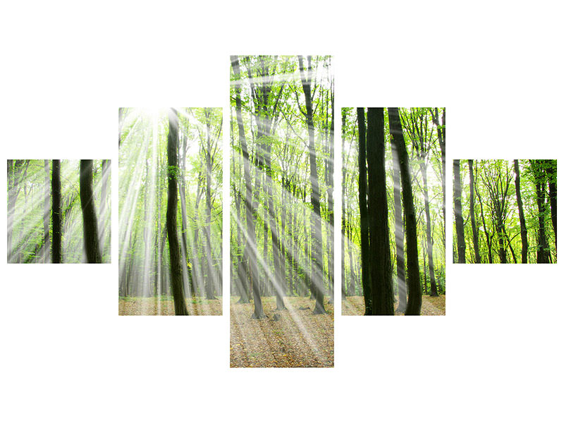 5-piece-canvas-print-magic-light-in-the-trees