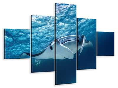 5-piece-canvas-print-manta-ray