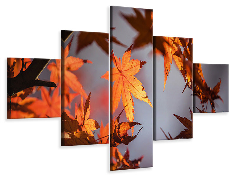 5-piece-canvas-print-maple-leaves-in-autumn