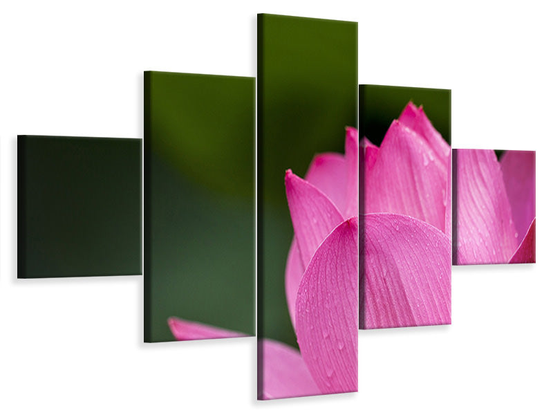 5-piece-canvas-print-marko-lotus-in-pink