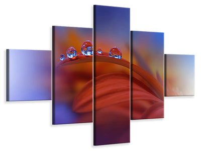 5-piece-canvas-print-metamorphosis