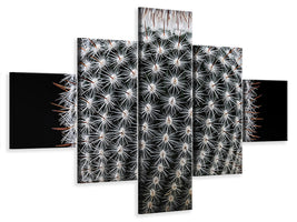 5-piece-canvas-print-notocactus-scopa-ii